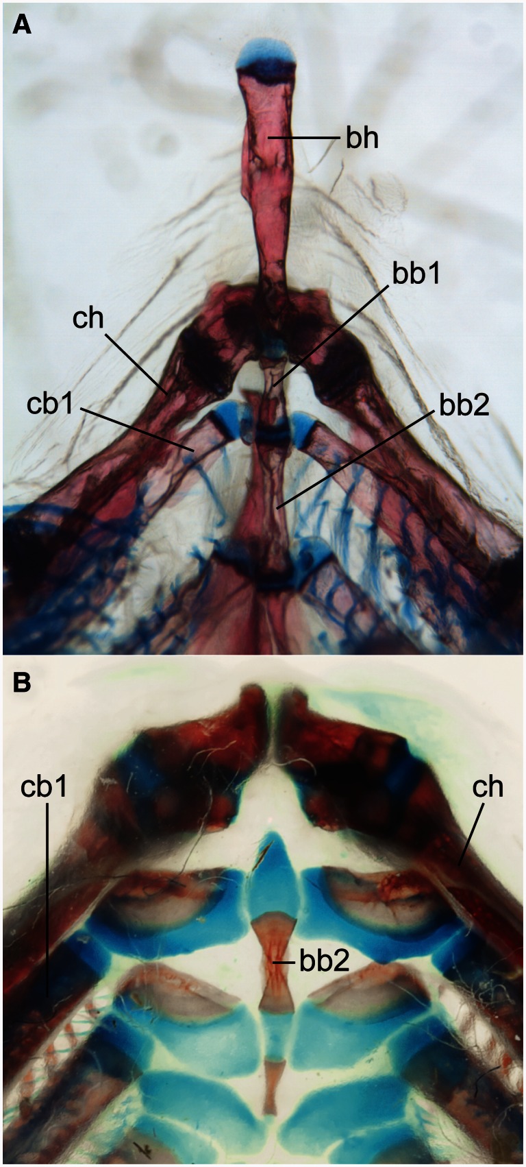 Fig. 2.