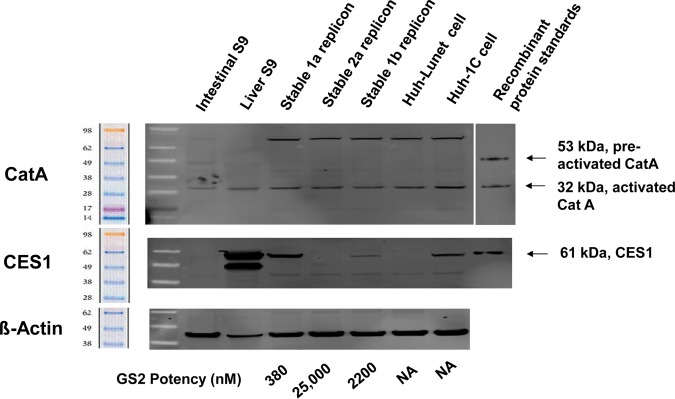 FIG 2