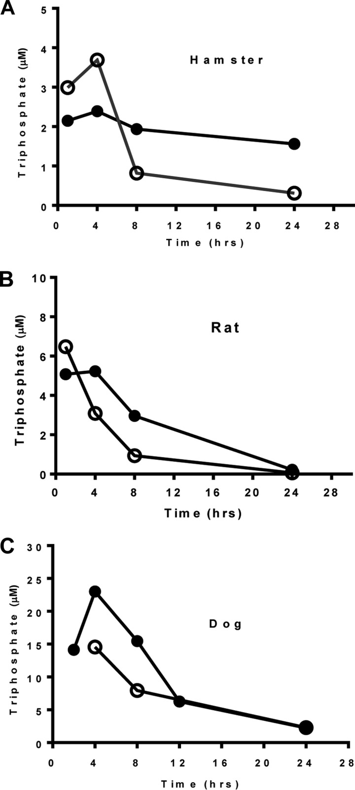 FIG 6