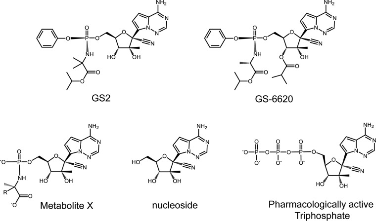 FIG 1