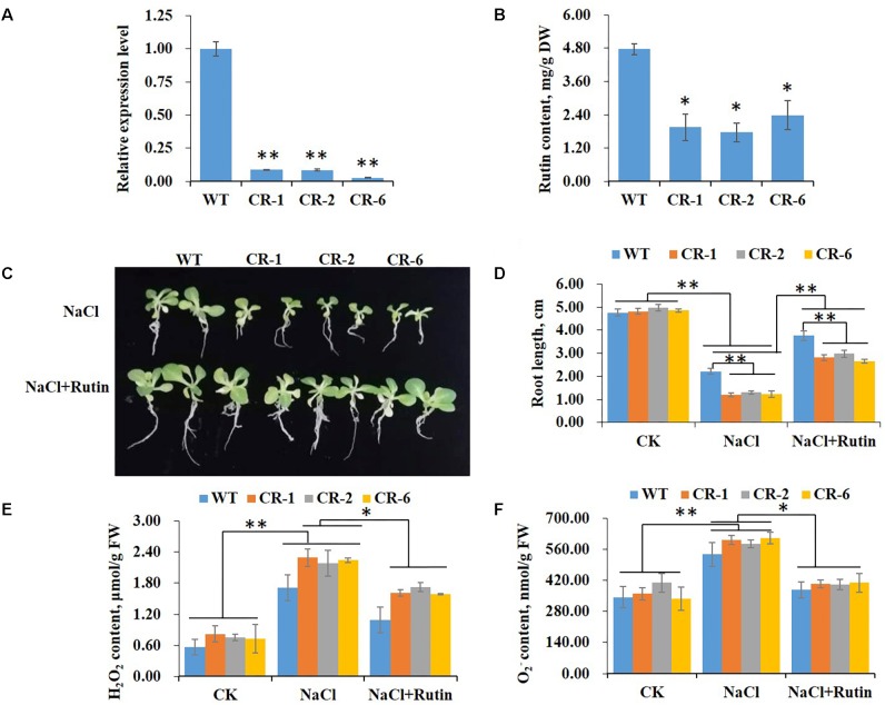 FIGURE 6