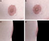 Fig. 4.