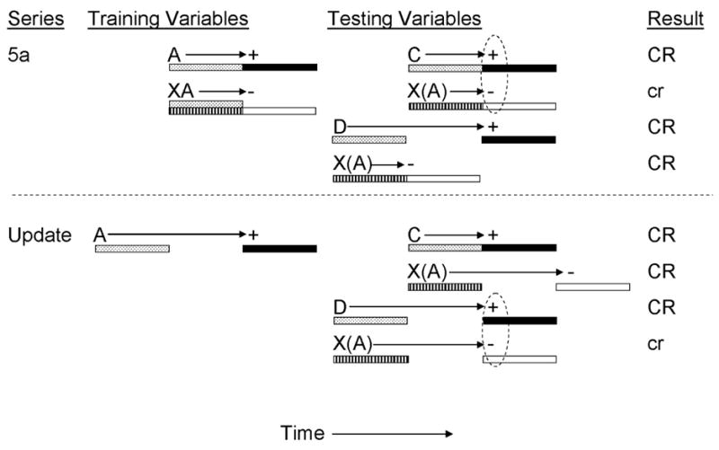 Figure 5a