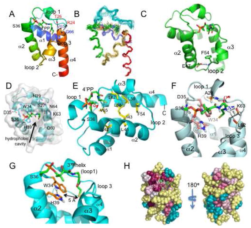 FIGURE 3