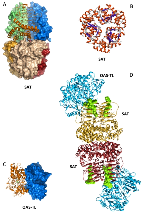 Figure 5.