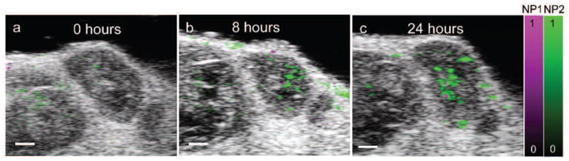 Fig. 7