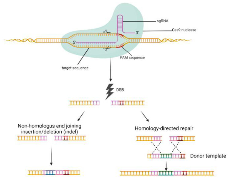 Figure 2