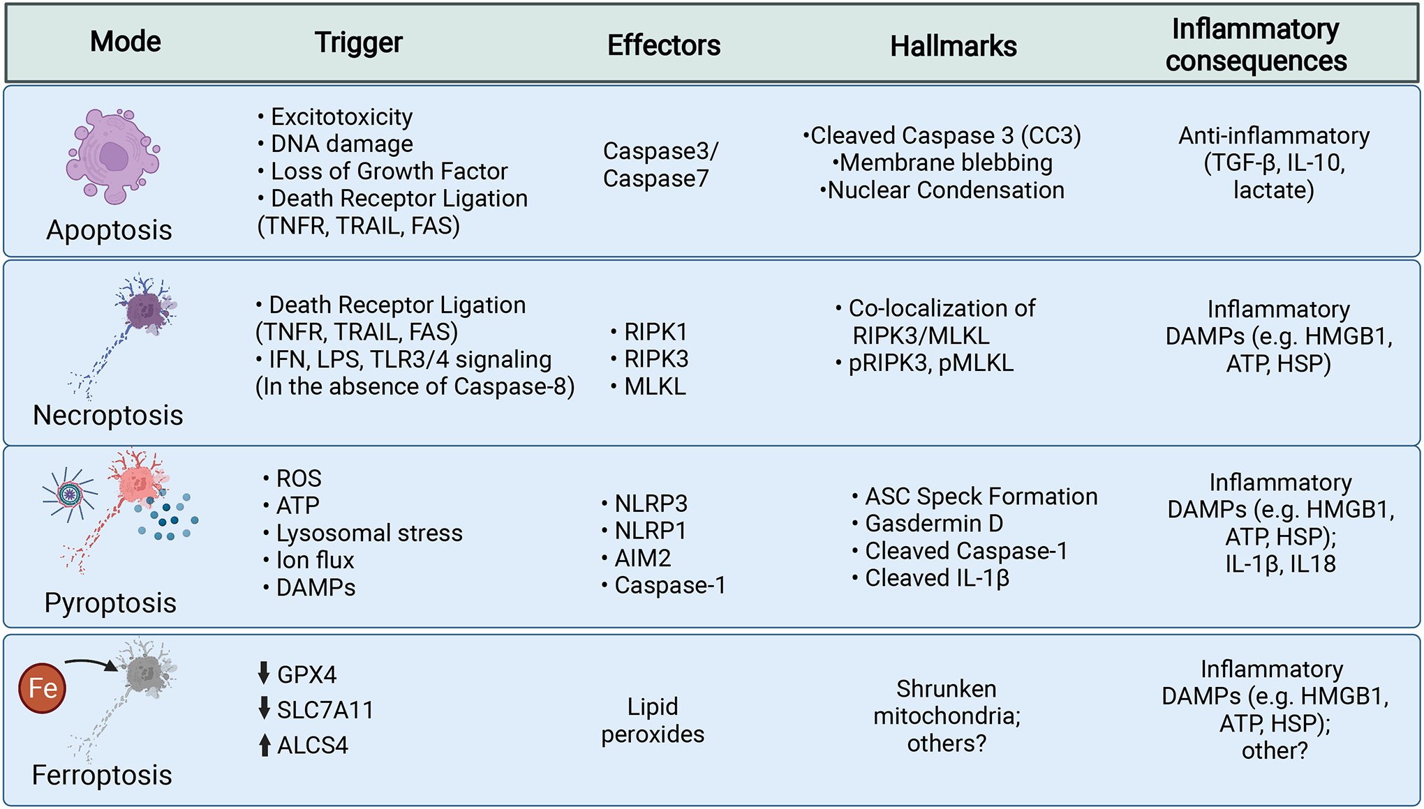 Figure 1: