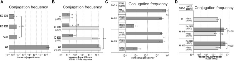 FIGURE 3