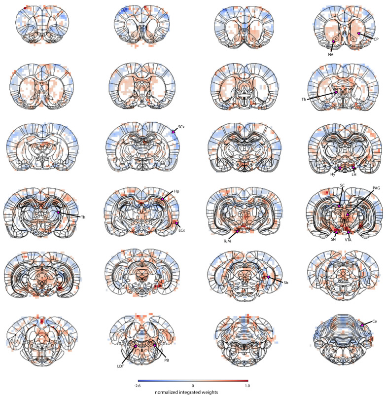 Figure 5—figure supplement 1.