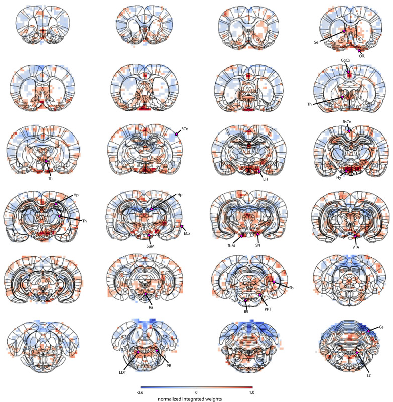 Figure 5—figure supplement 2.