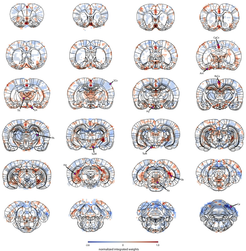 Figure 5—figure supplement 4.