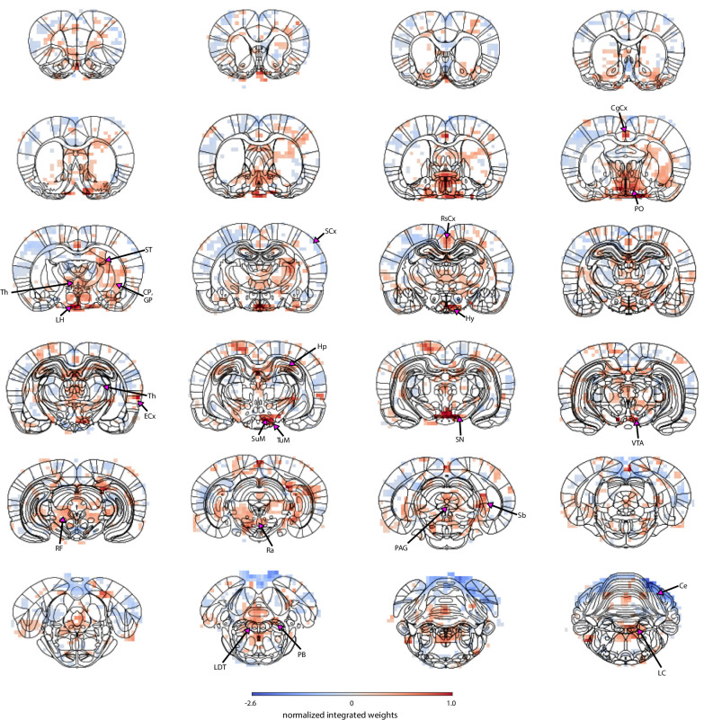 Figure 5—figure supplement 3.