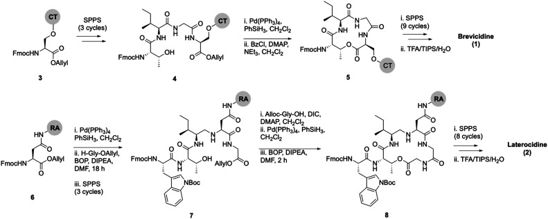 Scheme 1