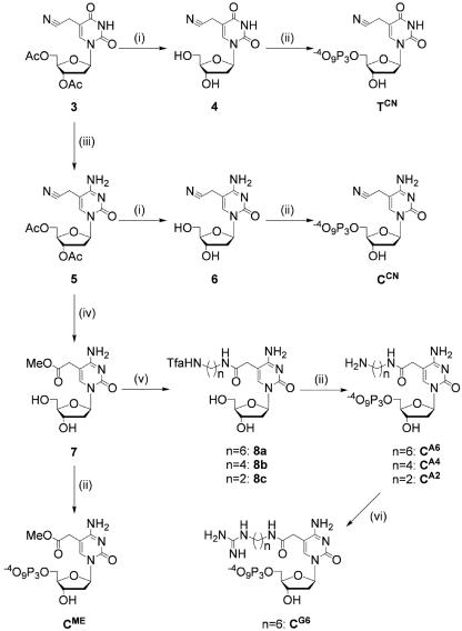 Scheme 2