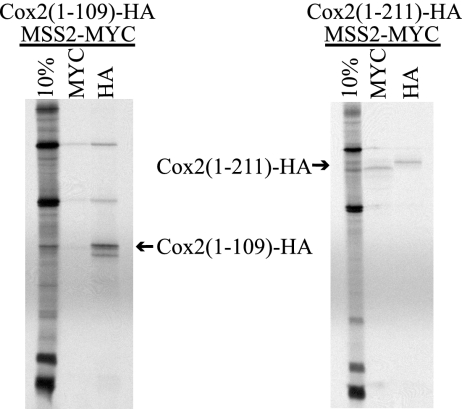 FIG. 8.