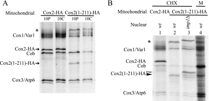 FIG. 5.