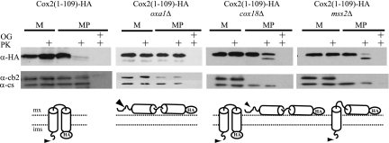 FIG. 4.