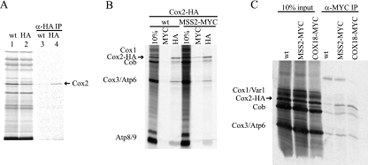 FIG. 7.