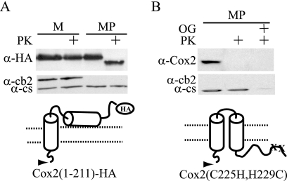 FIG. 6.