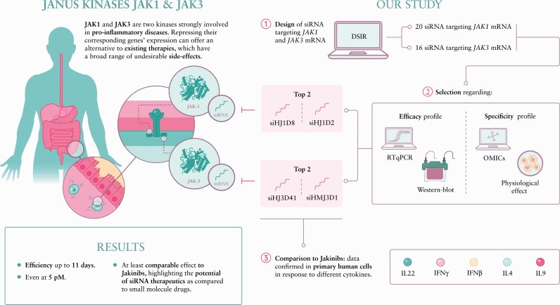 Graphical Abstract