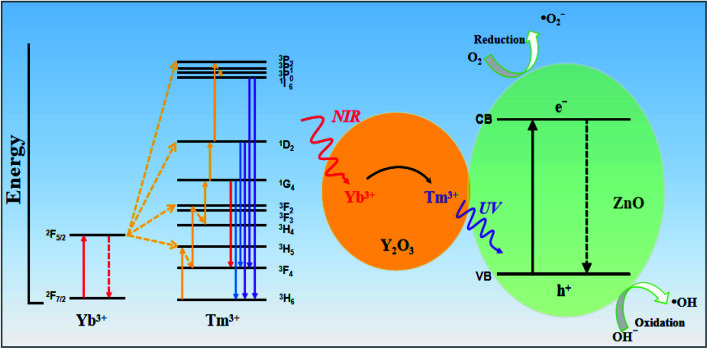 Fig. 13