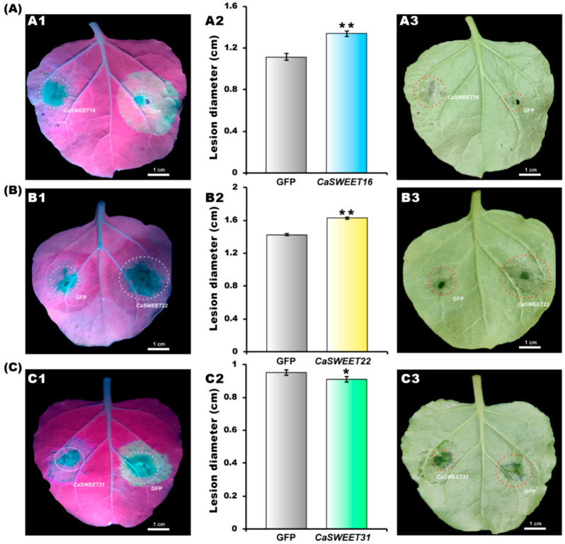 Figure 10