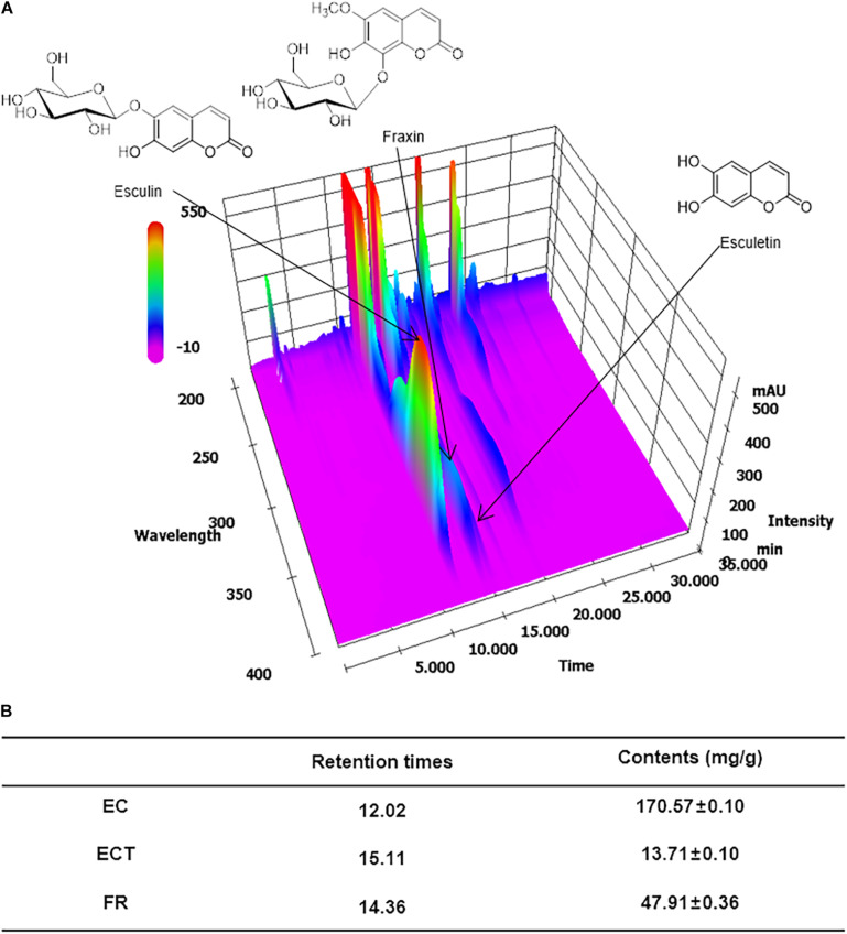 FIGURE 2