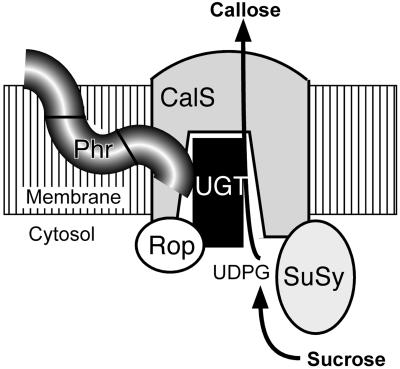 Figure 7.