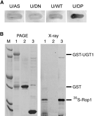 Figure 3.