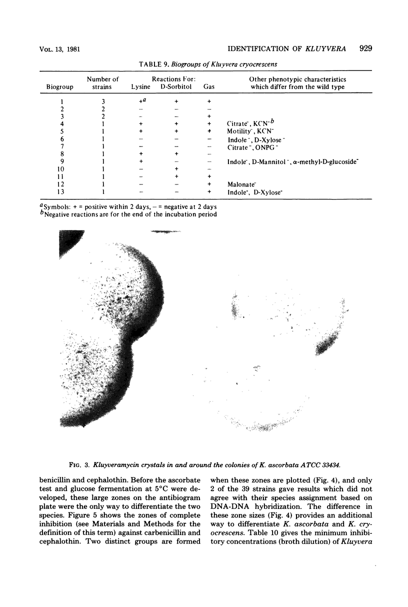 Kluyvera, a new (redefined) genus in the family Enterobacteriaceae ...