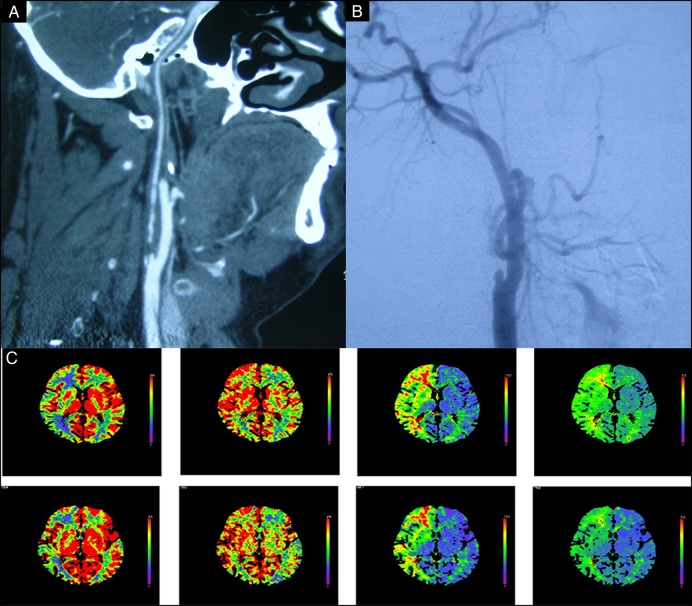 Figure 1