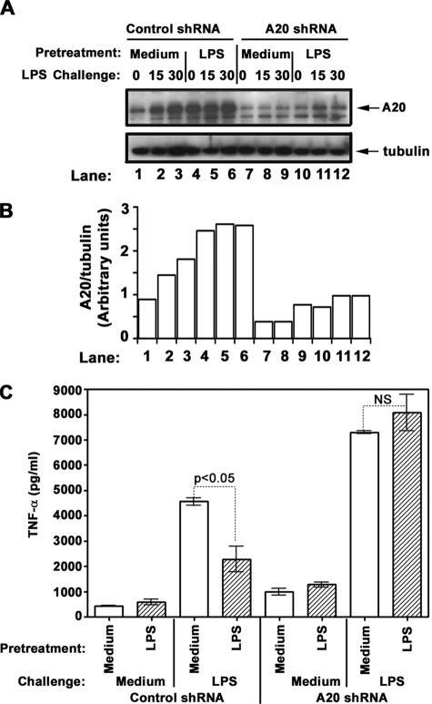 FIGURE 9.