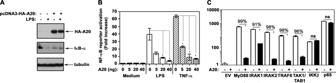 FIGURE 7.