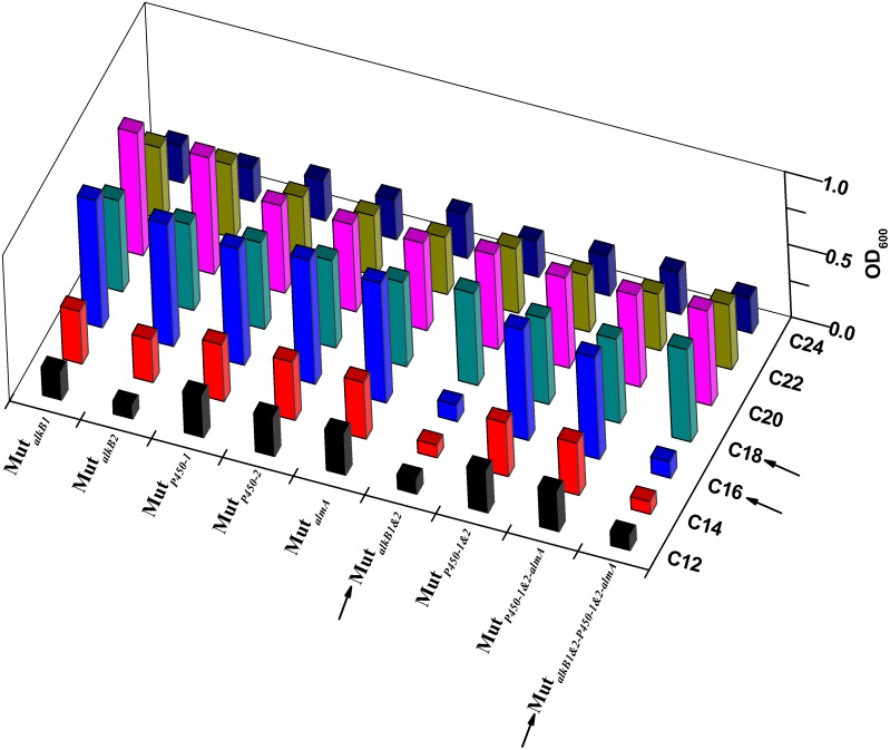 Figure 7