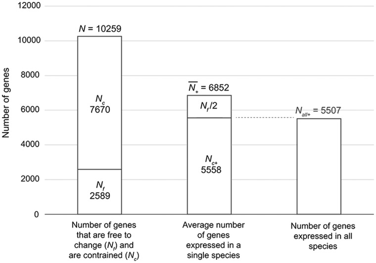 Fig. 4.—