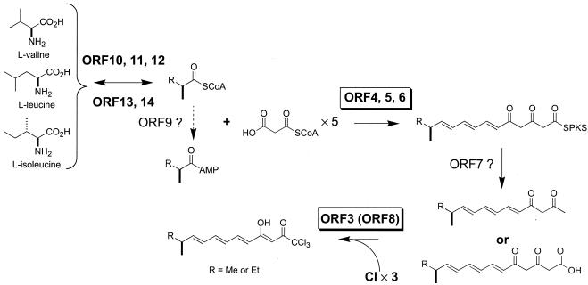 FIG. 5.