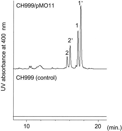 FIG. 3.