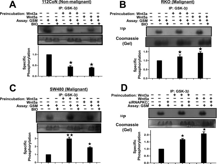 FIG 6