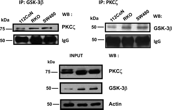 FIG 1