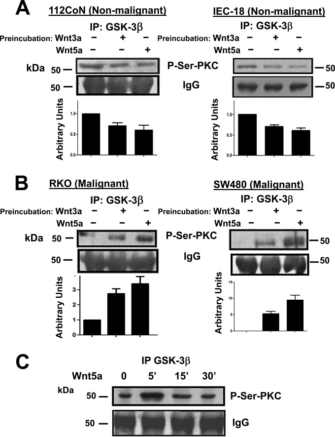 FIG 3