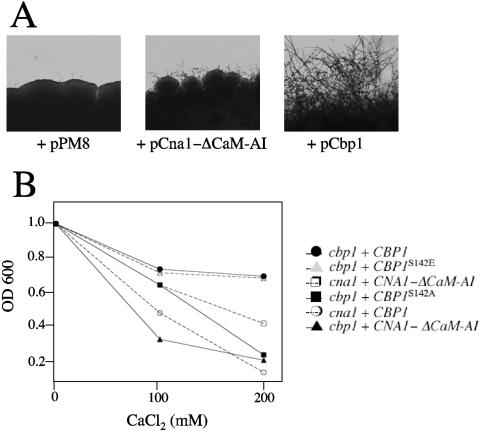 FIG. 8.