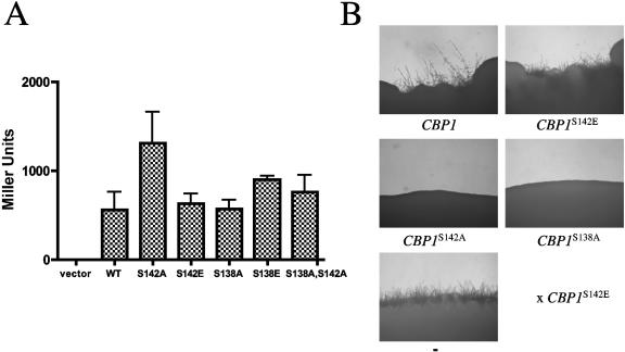 FIG. 7.