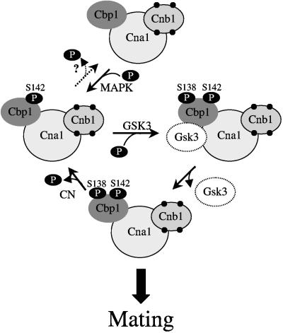 FIG. 9.