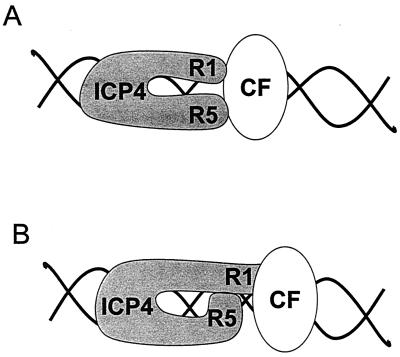 FIG. 11.