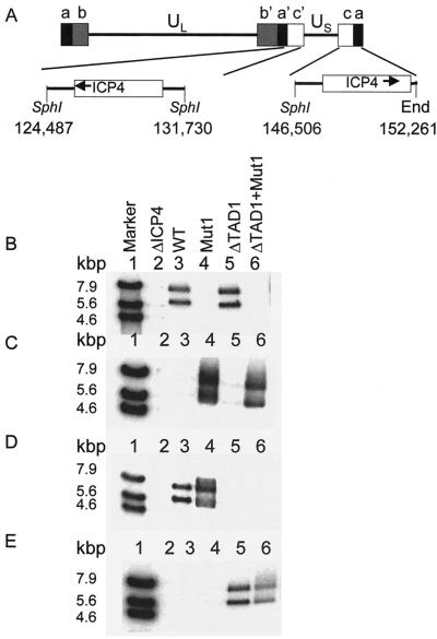 FIG. 8.