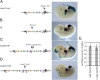 Fig. 6.