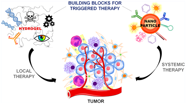 graphic file with name nihms-1028644-f0001.jpg