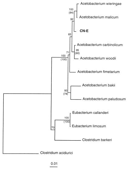 FIG. 3