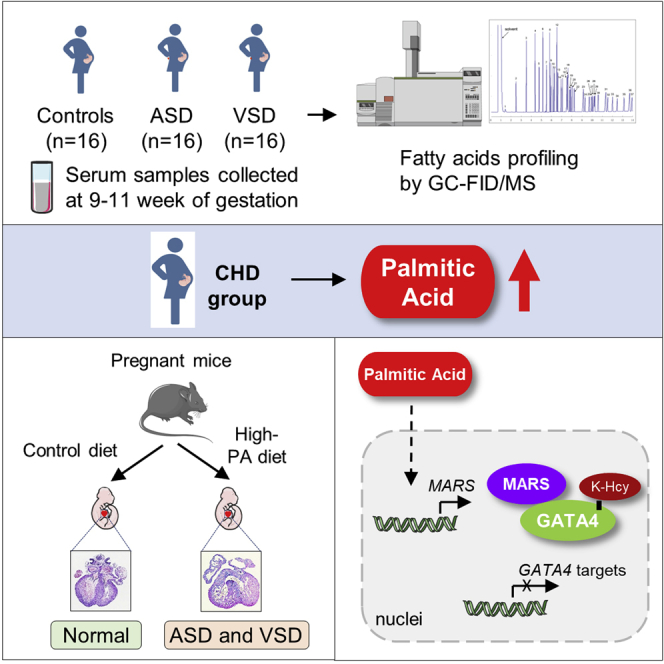 graphic file with name fx1.jpg